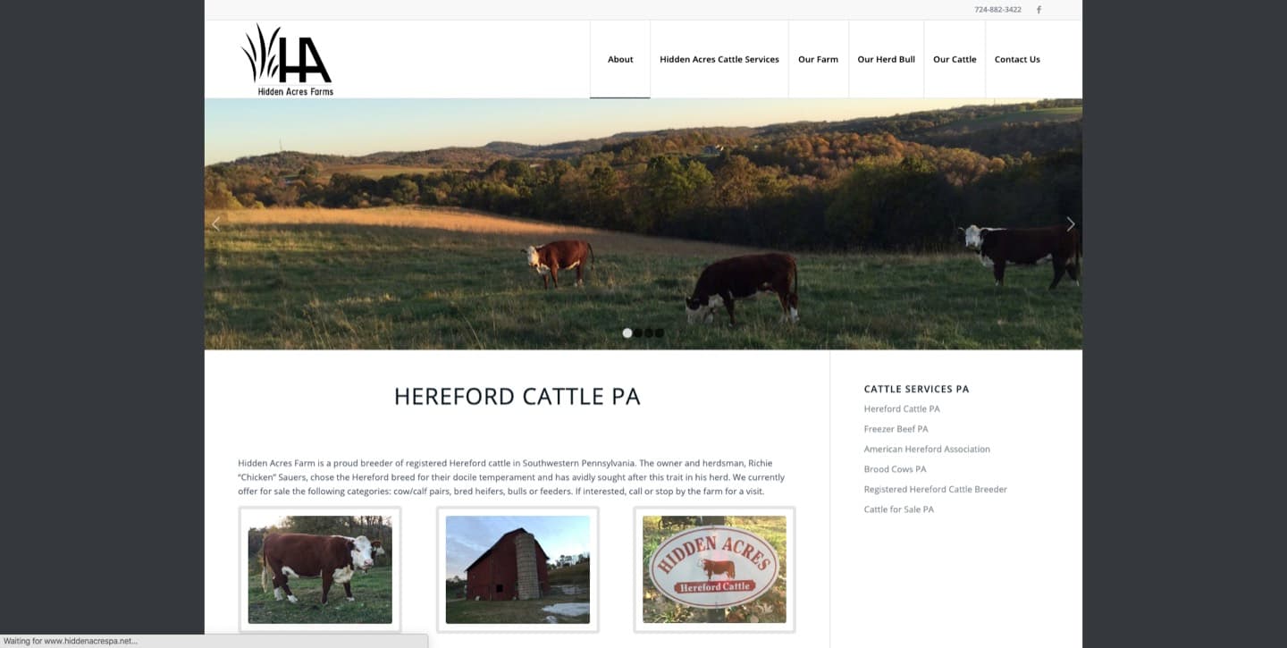 Hidden Acres Farm website — Hereford cattle, built by our team